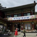 윤목장 | 부처님오신날의 휴휴암 어린이날의 대관령 양떼목장 방문기