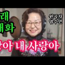 사랑아 내 사랑아-노래 김매화(원곡자 염수연) 이미지