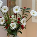 온더돌상 이미지