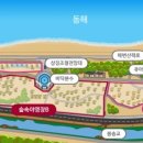 고래불레저
