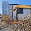 은행파출소 이미지