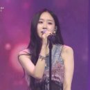 아라 하우스 이미지