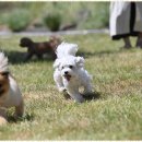 폴앤도기 동남캠퍼스 이미지