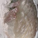 민주댕이 | 니 째리 죽이는 생각