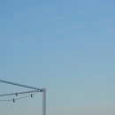 올레치킨 이미지