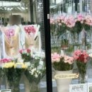 장미할인마트 이미지