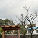 굿나인스테이 이미지