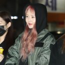 소나무인쇄 이미지