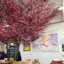 말리오션스파 이미지