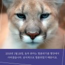 [카드뉴스] 3월 3일은 세계야생동식물의 날, 기억해줘! 이미지