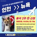 모리 이미지