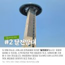 나래태양광발전소 이미지