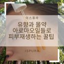 몰약아로마테라피 | 유향과 몰약 천연 아로마오일들로 피부재생 꿀팁