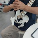 더세움병원 | [바로세움 자세/체형교정센터] 수완지구 광주체형...오다리·어깨 통증 굿바이! 프리미엄 전신교정 후기