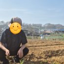 박순자농장 네이버블로그