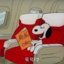 (주)청산어죽 네이버블로그