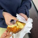그냥지나칠수없자나