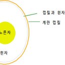 삶은 계란 껍질이 잘 안벗겨지는 이유 이미지