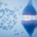 (주)신장바이오 이미지