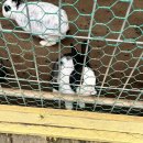 초원목장1 이미지