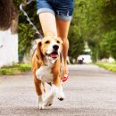 미사숲동물의료센터 이미지