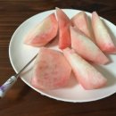 영덕싱싱농원 이미지