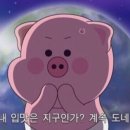압구정찹쌀순대