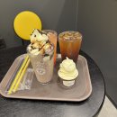 유동목장 | 광주 디저트 맛집 컴포즈커피광주유동점 상하목장 아이스크림 취급매장