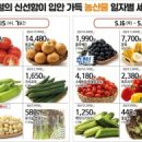 서안동농협 하나로마트 신도청점