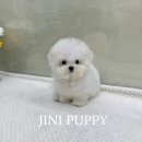 안양유지사료 이미지