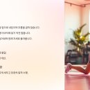 철트레이닝 이미지