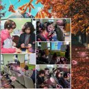 스마트폰 사진찍기 이미지