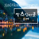 트립포미 이미지