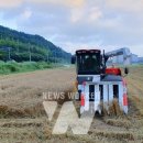 양곡1천 이미지