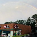 마이독그루밍 이미지