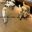 애니멀랜드 이미지