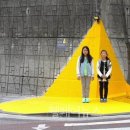 장기초교 이미지