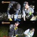 정글의법칙 - 아산시 신정로 434 | 정글의법칙