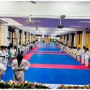 경희대 참 태권도 이미지