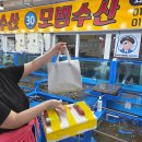 대천항식당 | 대천항 수산시장 맛집 모범수산 깔끔한 대광어회 포장 후기
