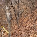 춘천새윤병원 이미지