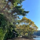 해양곰장어 | 거제 둔덕면 곰장어 – 둔덕면 / 곰장어