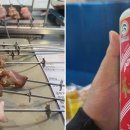 불로초양꼬치 - 군포시 송부로74번길 9-6 | 불로초양꼬치