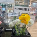 지에스마켓(GS market)