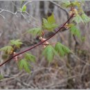 지리산친구들 이미지