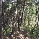 고 산 Daum카페