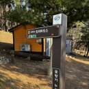 창원 아이와 가볼만한곳, 성산 유아숲 체험원 후기
