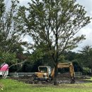 유찬목장 이미지