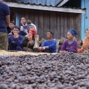 내츄럴원더스 이미지