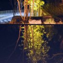 월아산 숲속의 진주 이미지